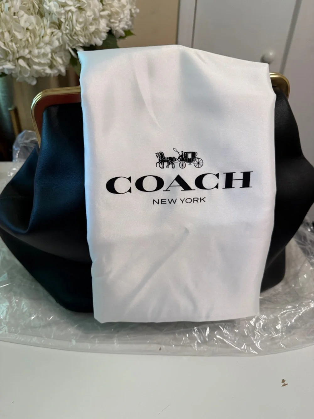 Coach Kisslock Frame Bag 27